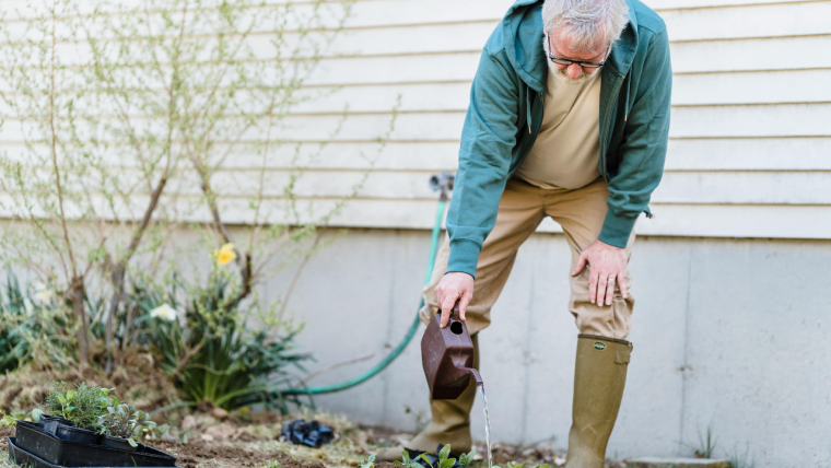 Gardening Ideas For Seniors