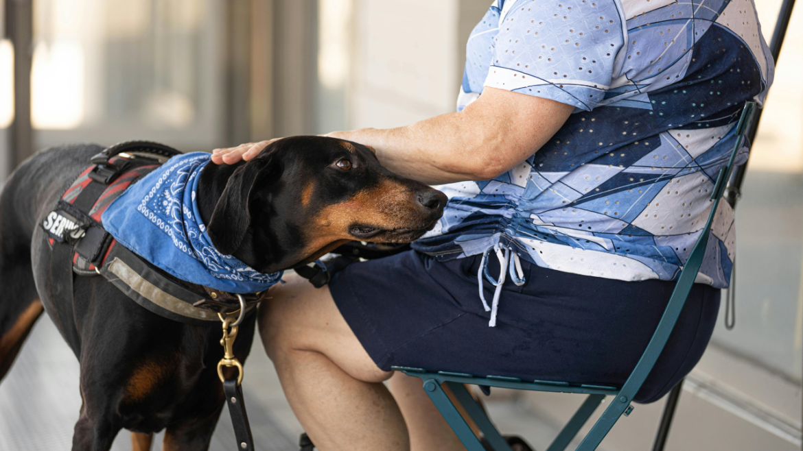 How Pet Therapy Can Help A Senior With Dementia