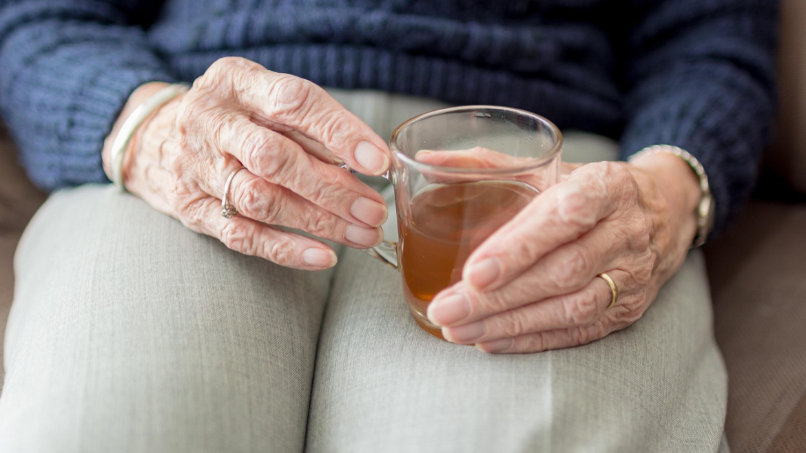 Immunity Boosting Strategies For Seniors