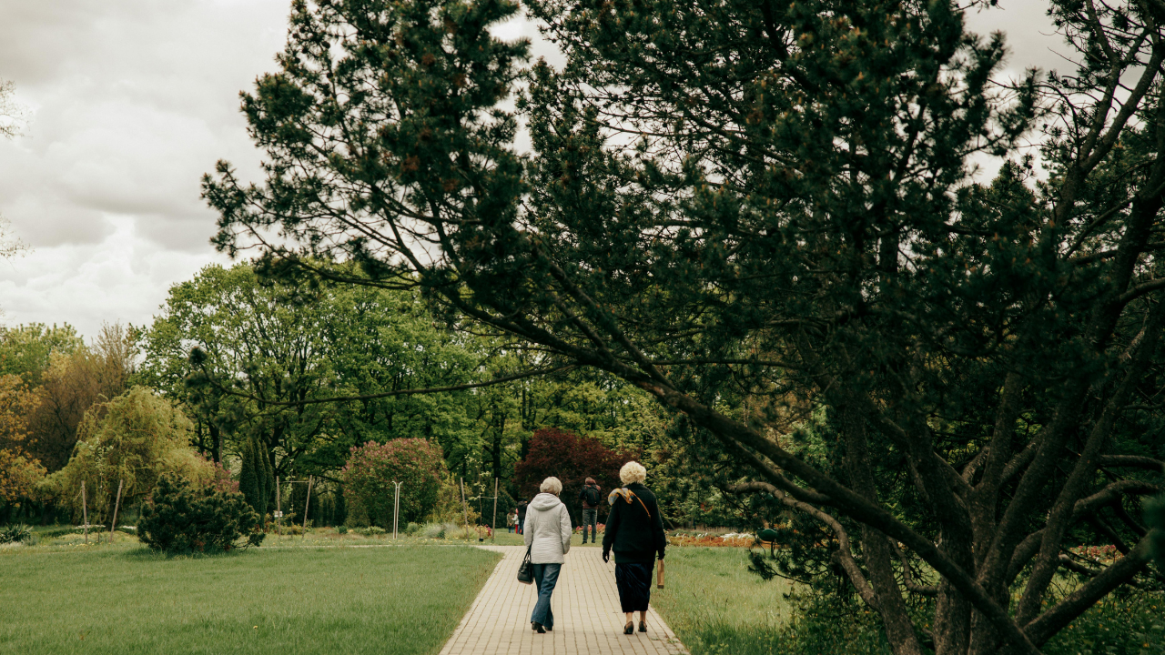 How Taking Walks Can Benefit Seniors