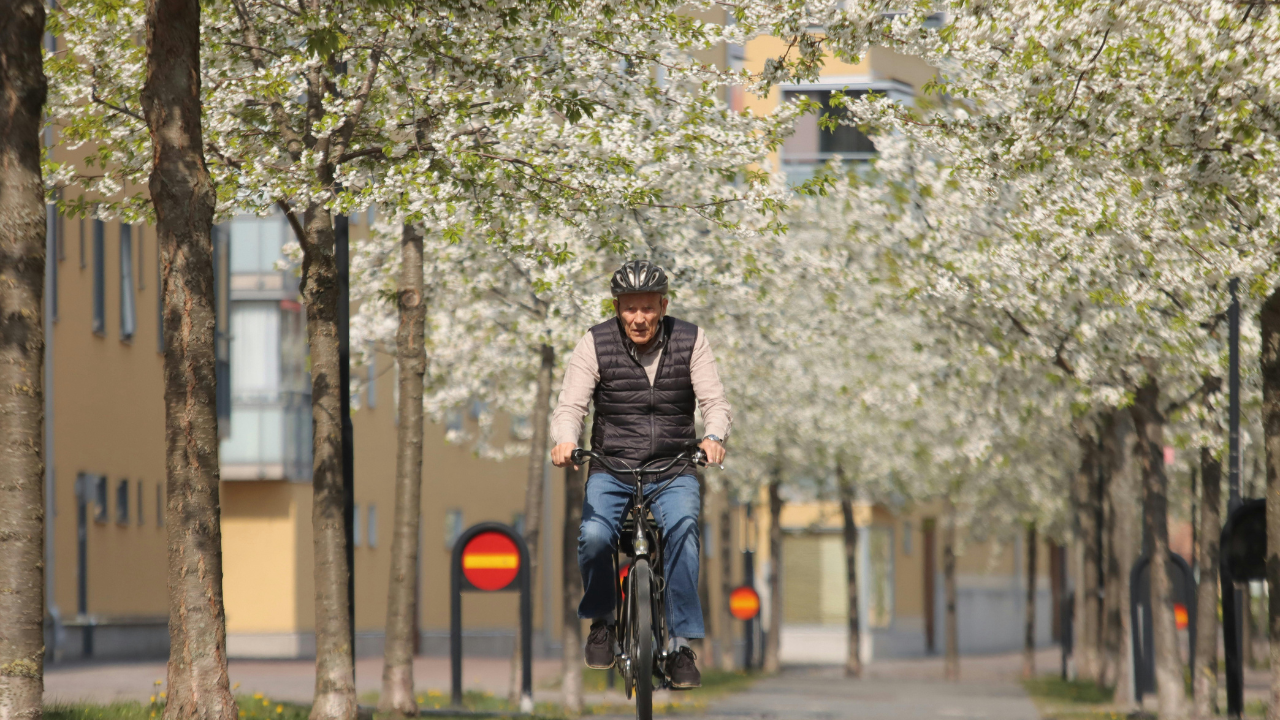 Should Seniors Ride Bikes For Exercise?