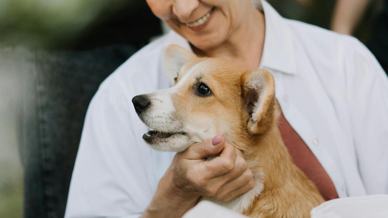 Benefits Of Having A Pet For Seniors