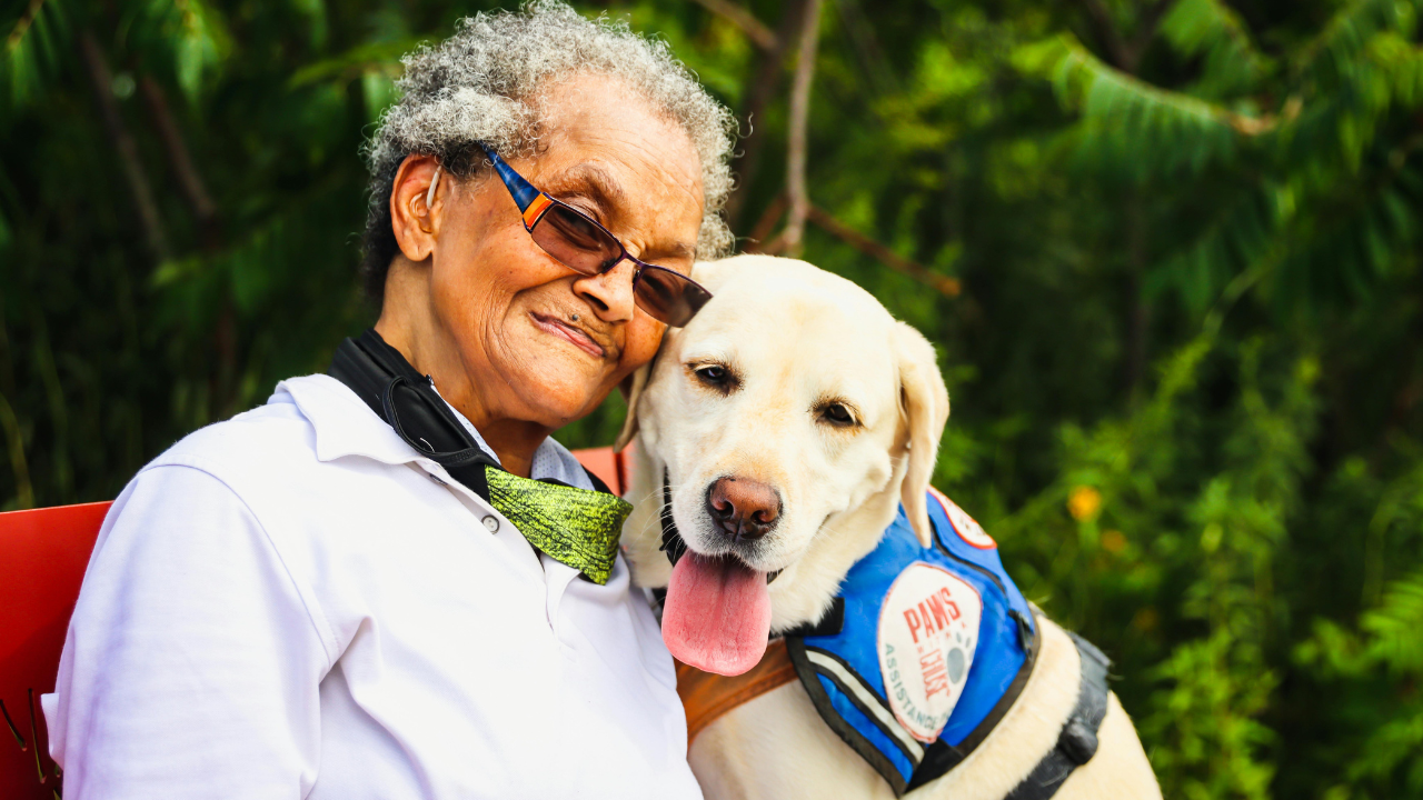 The Power Of Pet Therapy For Seniors
