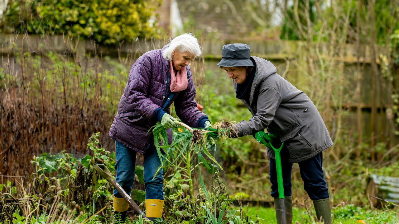 Why Do Seniors Garden?