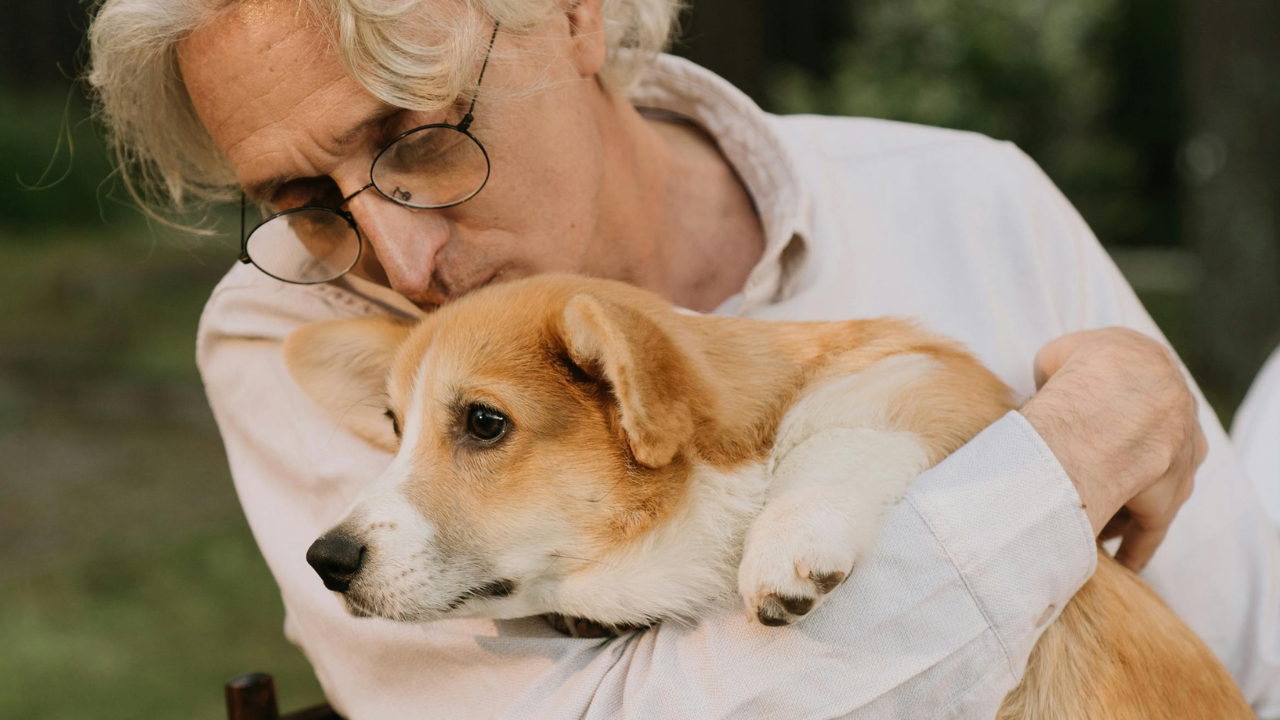 Can Dogs Help Seniors Mentally?